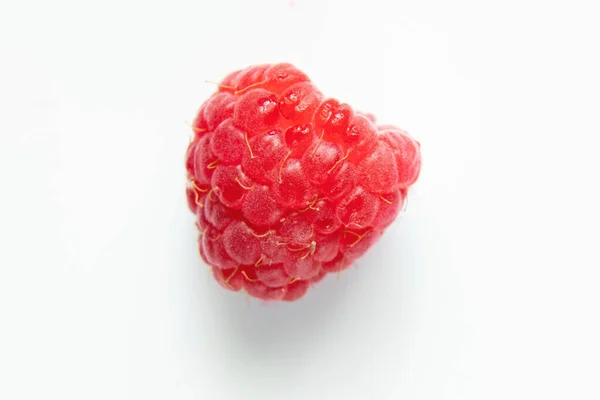 One Red Raspberry White Background Macro Photo — Stock Photo, Image