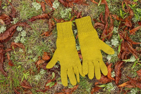 knitted green gloves lie on the grass autumn in dry leaves