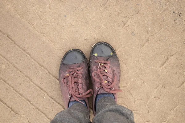 Damessneakers Het Zand Weg Wandelen Herfst Namiddag Onderaanzicht — Stockfoto