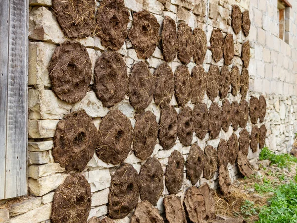 Ronde-vormige koemelkcakes die aan de wand van het gebouw zijn geplakt om te drogen — Stockfoto