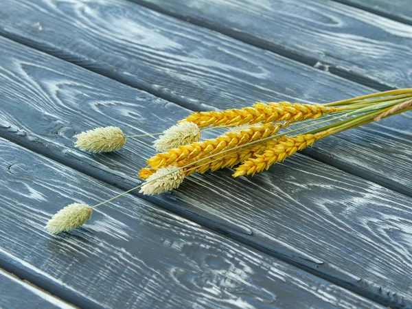 Several stalks of dried cereal plants on a boardwalk. Ears of wheat and phalaris for decorating food photos