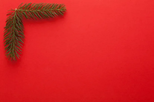 Corners Made Tree Branches Red Background Empty Place Your Text — Stock Photo, Image