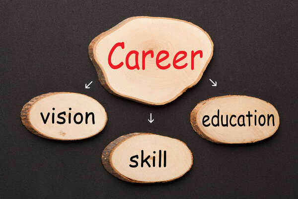 Карьера с концептуальными словами зрение, мастерство и образование, написанные на деревянных эллипсах. Концепция бизнеса
