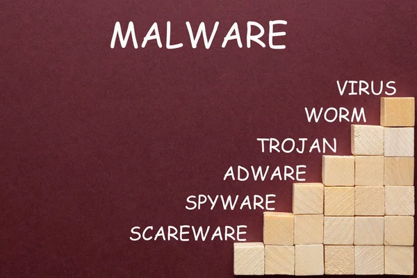 Concepto de diagrama de malware — Foto de Stock