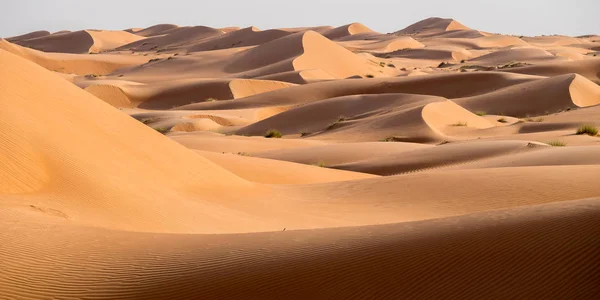 Пейзаж Вахибы Пески Известный Оман Пустыни Назначения Сафари Ночных Лагерей Стоковое Изображение