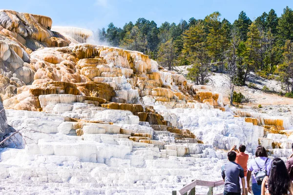 Mammoth Hot Springs, Yellowstone National Park — Stock Photo, Image