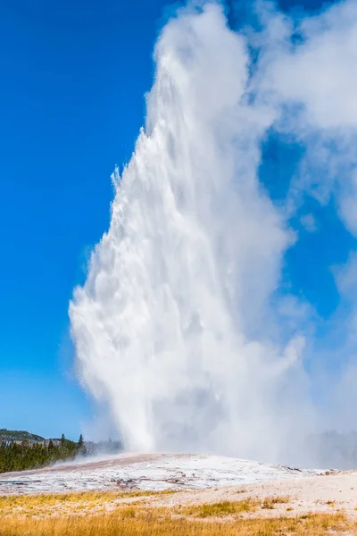 Old Faithful geyser at Yellowstone National Park — Stock Photo, Image