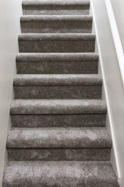 Merdivenlere yeni serilmiş gri halı.