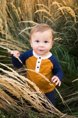 Tatlı çocuk poz veriyor ve uzun süs çimlerinde gülümsüyor.