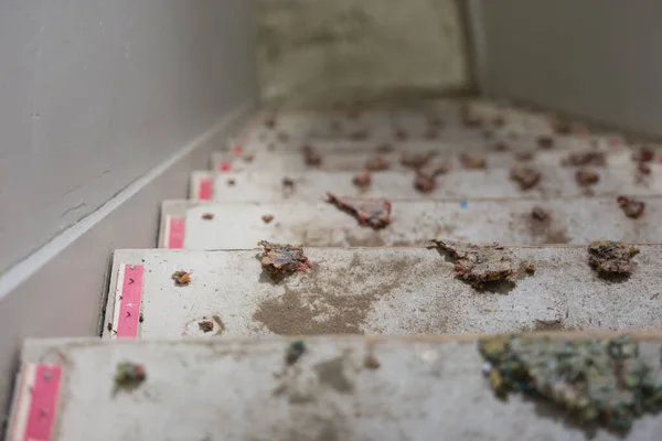 Merdivenlerden halı temizleme, çivi şeridi, zemin ve zımbalanmış ped parçaları.