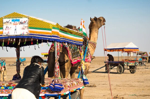 stock image People getting onto colorful camel carts as other carts go in the distance