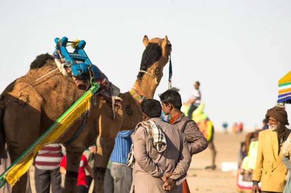 Colorfully decorated camel and its owner standing together waiting for tourists to take a ride — Stock Photo, Image