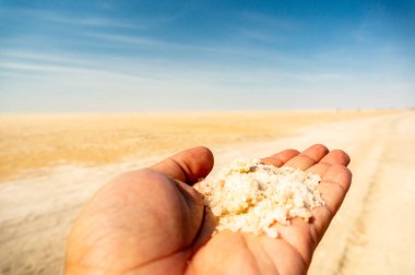 Kutchh gujarat Hindistan Rann gelen tuz tutan kadın el
