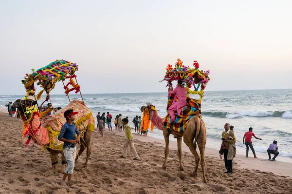 Camellos con guirnaldas de colores, palanquines y sombreros divertidos con los turistas en el fondo — Foto de Stock