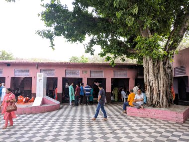 Pandupole sariska rajasthan de hanuman tapınağının avlusu etrafında dolaşan adanmışlar ile