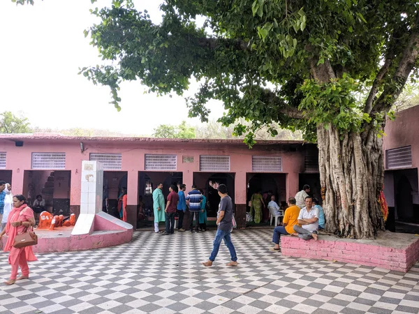 Pandupole sariska rajasthan de hanuman tapınağının avlusu etrafında dolaşan adanmışlar ile