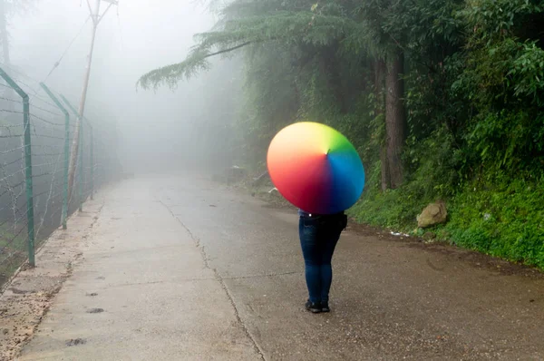 Young indian girl spinning a colorful umbrella on a foggy hill station road with trees — Stock Photo, Image