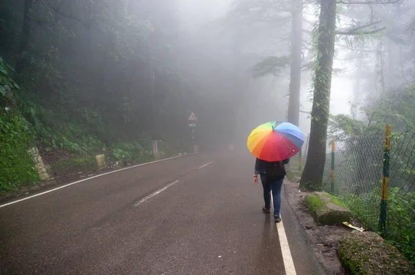 Jeune fille indienne marchant avec un parapluie coloré sur une rue de colline brumeuse — Photo