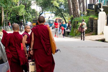 Dharamshala manastırlarında şemsiyelerle Teh caddesinde yürüyen bhuddhist keşişler.