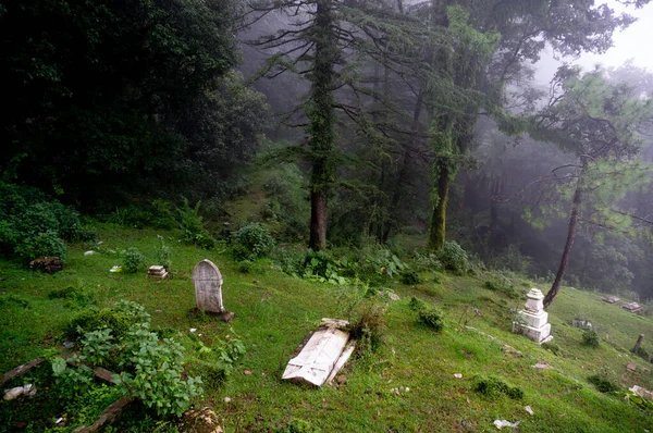 Disparo de un cementerio de niebla en una pendiente de la colina con árboles en el fondo que se desvanecen en la distancia . —  Fotos de Stock