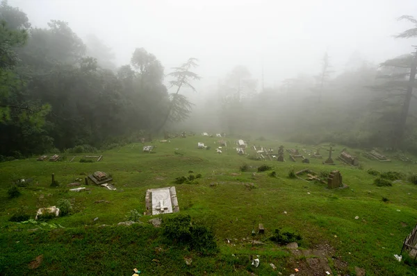 Disparo de un cementerio de niebla en una pendiente de la colina con árboles en el fondo que se desvanecen en la distancia . —  Fotos de Stock