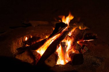 Etrafı insanlarla çevrili Lohri festivali için büyük bir ateş yakıldı.