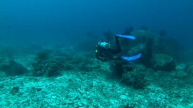 kardelen Dağları arka plan üzerinde buket