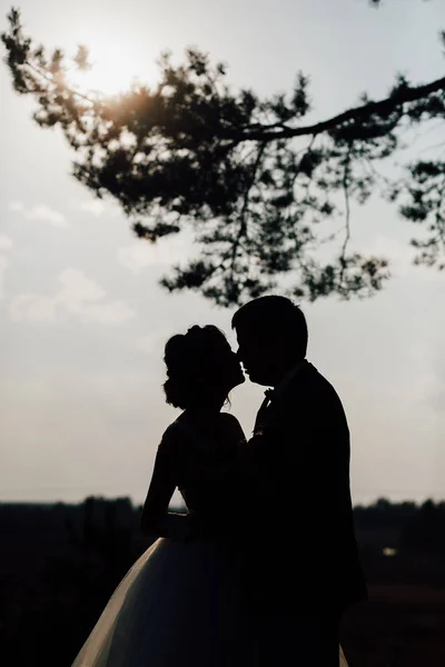Silhueta Noiva Noivo Vestido Casamento Dia Ensolarado — Fotografia de Stock