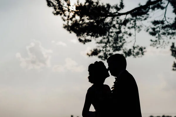 Silhuetten Bruden Och Brudgummen Bröllopsklänning Solig Dag — Stockfoto