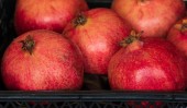 Closeup granátové jablko ovoce