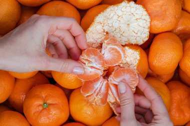 Birçok mandalina ve mandalina meyve soyma elleri üstten görünüm