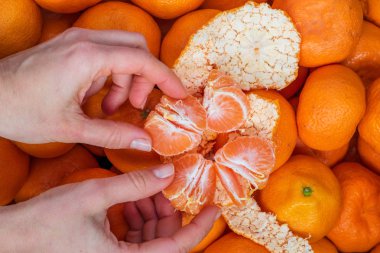 Birçok mandalina ve mandalina meyve soyma elleri üstten görünüm