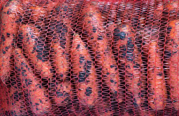 Fresh Carrots Just Picked Bag — Stock Photo, Image