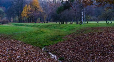 autumn landscape: stream, carpet of fallen leaves and green lawn
