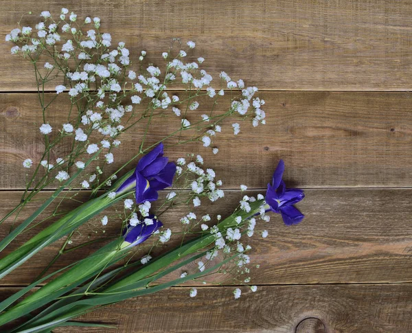 Vista Superior Tres Flores Iris Azul Pequeñas Flores Blancas Delicadas — Foto de Stock