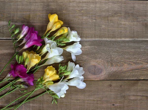 Fondo Primavera Fresco Ramo Flores Freesia Colorido Sobre Fondo Madera — Foto de Stock