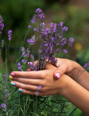 çok renkli manikür ve çiçekli lavanta ile bir kızın narin ellerin yakın çekim. tamamlayıcı renkler