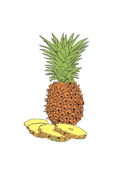 Diseño Elementos Frutales Piña — Archivo Imágenes Vectoriales