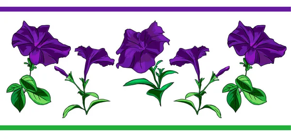 Petunia Ornament afdrukken — Stockvector