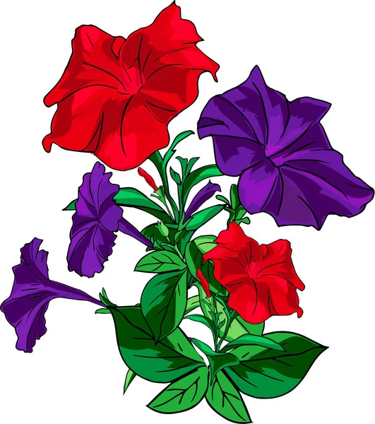 Rode en paarse Petunia bloemen — Stockvector