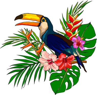 Tropikal çiçek tasarım element vektörü Toucan