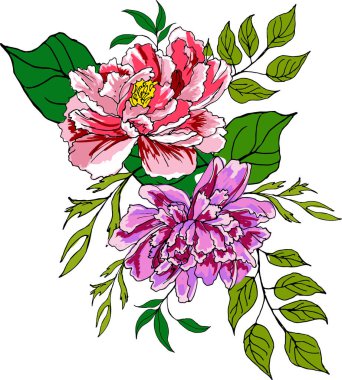 Şakayıkların çiçek aranjmanı