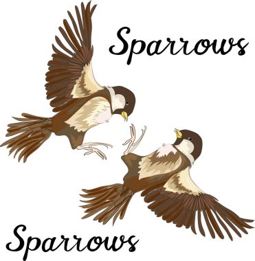 Serçeler havada, tasarım elementi