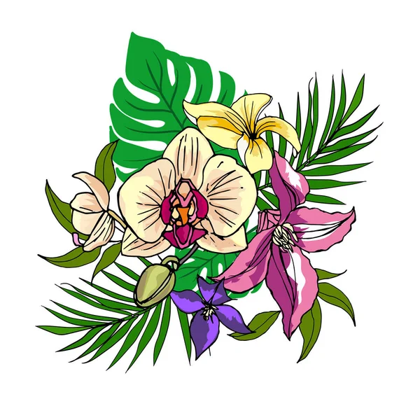 Ορχιδέες λουλουδιών και Camellia — Διανυσματικό Αρχείο