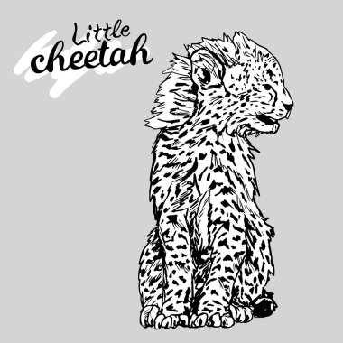 Küçük Çita grafik vektöründe oturuyor