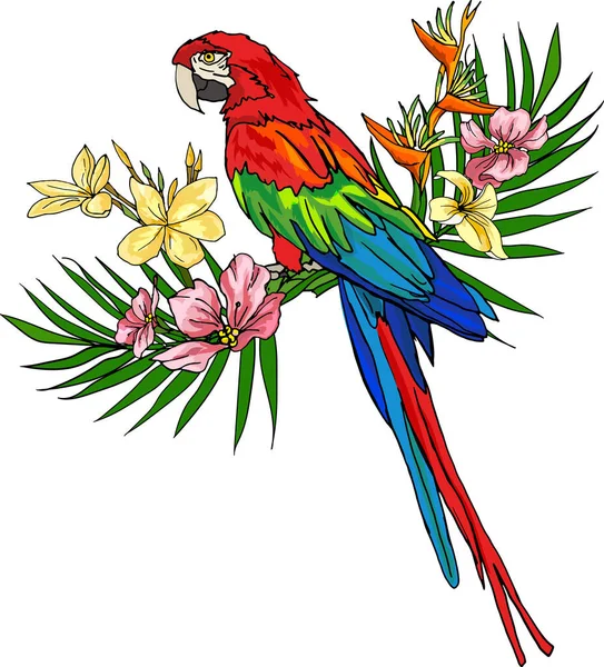 Macaw with tropical leaves and flowers — Stock Vector