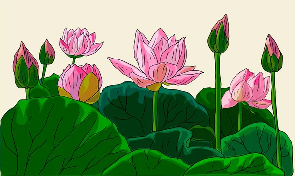 Flores y hojas de loto creciendo — Vector de stock