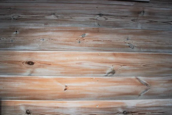 Wall Wood Bleached Oak — Stok fotoğraf