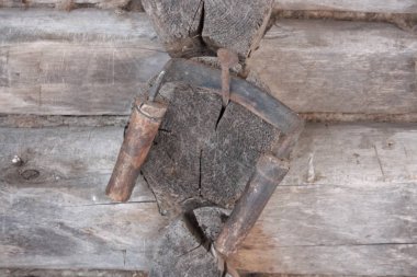 günlük kabuğu Temizleme Aracı