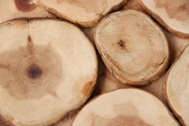 Arka plan olarak okaliptüs halkaları